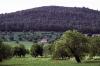 Titoieta Ràdio. (Arxiu fotogràfic).  Imatges d´Algaida 1992. Fotos de Catia Perelló i Jerònia Pou.