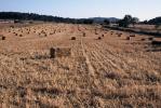 Titoieta Ràdio. (Arxiu fotogràfic). Imatges d´Algaida 2001. Fotos de Jerònia Pou i Catia Perelló.