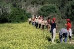 Titoieta Ràdio. (arxiu fotogràfic). Imatges d´Algaida 2001. Fotos de Jerònia Pou i Catia Perelló.