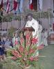 Festa de sant Honorat 1990. Centenari dels missioners dels Sagrats Cors de Jesús.. Centenari dels missioners dels Sagrats Cors.